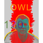 120-365 | Only White Lies (OWL) (2007)