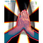 165-365 | Form Folded Fingers (FFF) (2007)