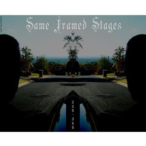 225-365 | Same Framed Stages (SFS) (2007)