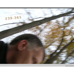 239-365 | In Autumn Day (IAD) (2007)